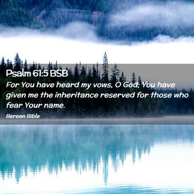 Picture 02 - Psalm 61:5 BSB - For You have heard my vows, O God; You have given - Bible Verse Picture