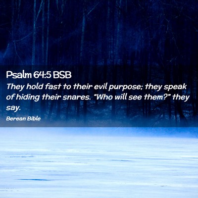 Picture 02 - Psalm 64:5 BSB - They hold fast to their evil purpose; they speak - Bible Verse Picture