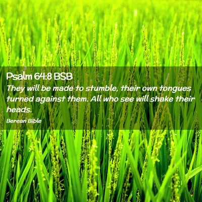 Picture 02 - Psalm 64:8 BSB - They will be made to stumble, their own tongues - Bible Verse Picture