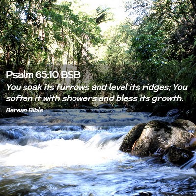 Picture 02 - Psalm 65:10 BSB - You soak its furrows and level its ridges; You - Bible Verse Picture