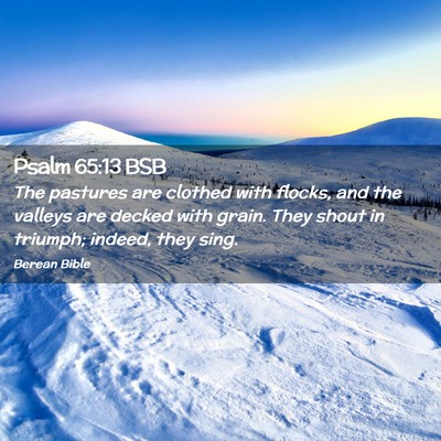 Picture 02 - Psalm 65:13 BSB - The pastures are clothed with flocks, and the - Bible Verse Picture