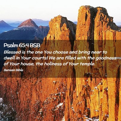 Picture 02 - Psalm 65:4 BSB - Blessed is the one You choose and bring near to - Bible Verse Picture