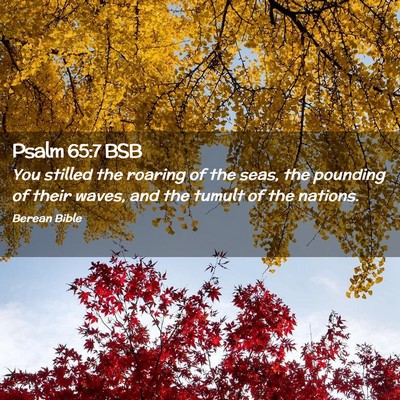 Picture 02 - Psalm 65:7 BSB - You stilled the roaring of the seas, the pounding - Bible Verse Picture