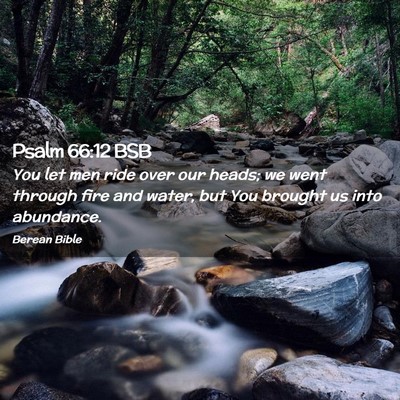 Picture 02 - Psalm 66:12 BSB - You let men ride over our heads; we went through - Bible Verse Picture