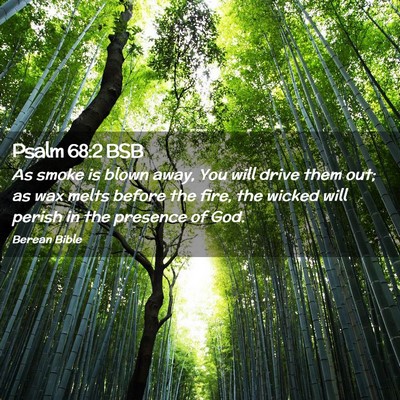 Picture 02 - Psalm 68:2 BSB - As smoke is blown away, You will drive them out; - Bible Verse Picture