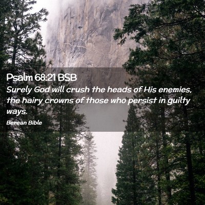 Picture 02 - Psalm 68:21 BSB - Surely God will crush the heads of His enemies, - Bible Verse Picture
