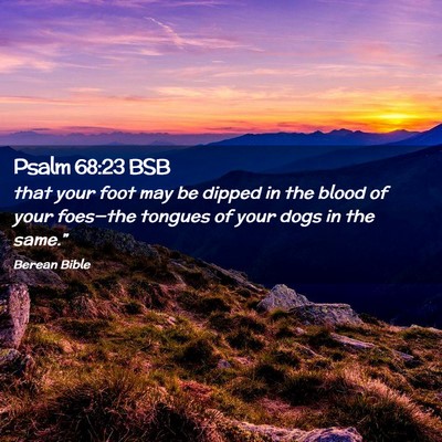 Picture 02 - Psalm 68:23 BSB - that your foot may be dipped in the blood of your - Bible Verse Picture