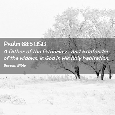 Picture 02 - Psalm 68:5 BSB - A father of the fatherless, and a defender of the - Bible Verse Picture