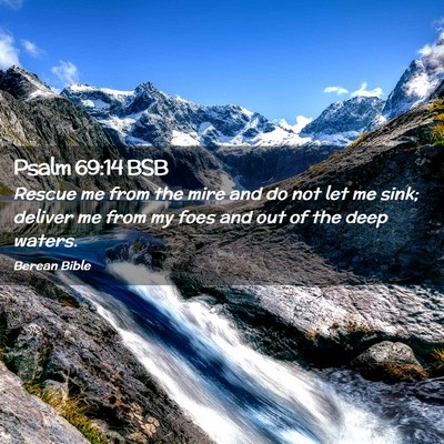 Picture 02 - Psalm 69:14 BSB - Rescue me from the mire and do not let me sink; - Bible Verse Picture