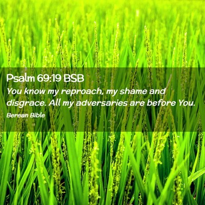Picture 02 - Psalm 69:19 BSB - You know my reproach, my shame and disgrace. All - Bible Verse Picture