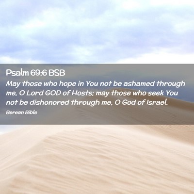 Picture 02 - Psalm 69:6 BSB - May those who hope in You not be ashamed through - Bible Verse Picture