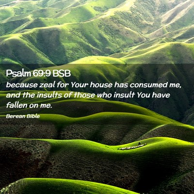 Picture 02 - Psalm 69:9 BSB - because zeal for Your house has consumed me, and - Bible Verse Picture