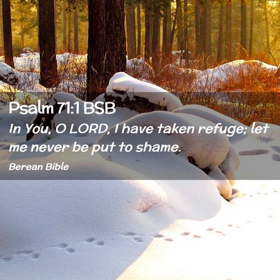 Picture 02 - Psalm 71:1 BSB - In You, O LORD, I have taken refuge; let me never - Bible Verse Picture