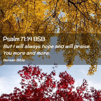 Picture 02 - Psalm 71:14 BSB - But I will always hope and will praise You more - Bible Verse Picture