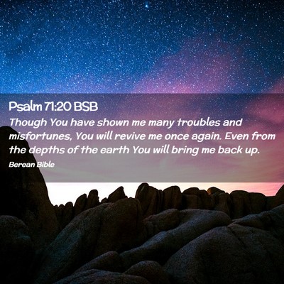 Picture 02 - Psalm 71:20 BSB - Though You have shown me many troubles and - Bible Verse Picture
