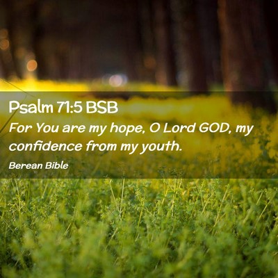 Picture 02 - Psalm 71:5 BSB - For You are my hope, O Lord GOD, my confidence - Bible Verse Picture