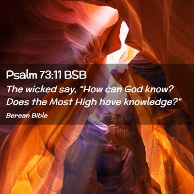 Picture 02 - Psalm 73:11 BSB - The wicked say, “How can God know? Does the - Bible Verse Picture