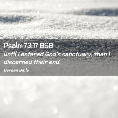 Picture 02 - Psalm 73:17 BSB - until I entered God’s sanctuary; then I - Bible Verse Picture