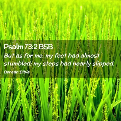 Picture 02 - Psalm 73:2 BSB - But as for me, my feet had almost stumbled; my - Bible Verse Picture