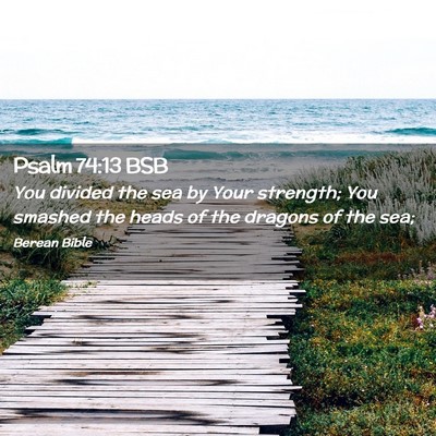 Picture 02 - Psalm 74:13 BSB - You divided the sea by Your strength; You smashed - Bible Verse Picture