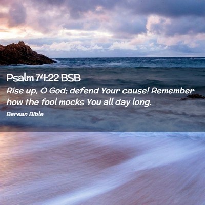Picture 02 - Psalm 74:22 BSB - Rise up, O God; defend Your cause! Remember how - Bible Verse Picture