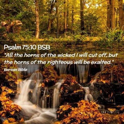 Picture 02 - Psalm 75:10 BSB - “All the horns of the wicked I will cut off, - Bible Verse Picture