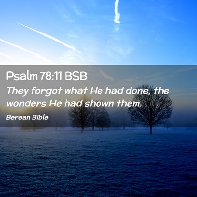 Picture 02 - Psalm 78:11 BSB - They forgot what He had done, the wonders He had - Bible Verse Picture