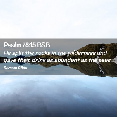 Picture 02 - Psalm 78:15 BSB - He split the rocks in the wilderness and gave - Bible Verse Picture