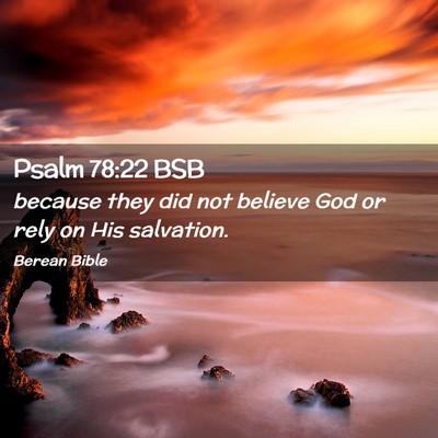 Picture 02 - Psalm 78:22 BSB - because they did not believe God or rely on His - Bible Verse Picture
