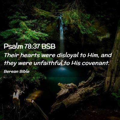 Picture 02 - Psalm 78:37 BSB - Their hearts were disloyal to Him, and they were - Bible Verse Picture