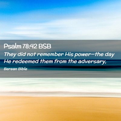 Picture 02 - Psalm 78:42 BSB - They did not remember His power—the day He - Bible Verse Picture