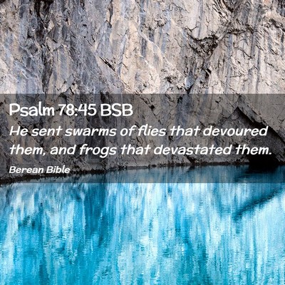 Picture 02 - Psalm 78:45 BSB - He sent swarms of flies that devoured them, and - Bible Verse Picture