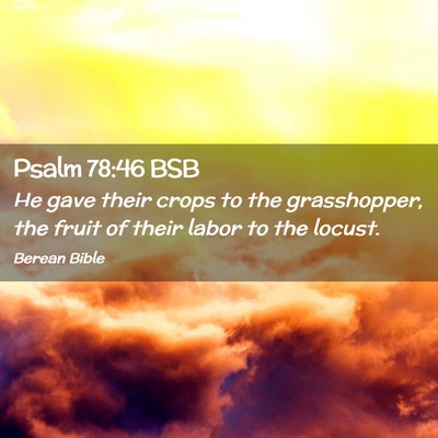 Picture 02 - Psalm 78:46 BSB - He gave their crops to the grasshopper, the fruit - Bible Verse Picture