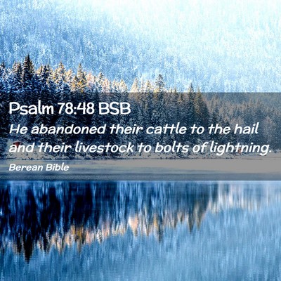 Picture 02 - Psalm 78:48 BSB - He abandoned their cattle to the hail and their - Bible Verse Picture