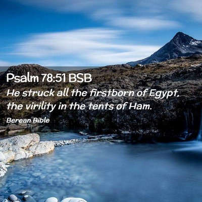 Picture 02 - Psalm 78:51 BSB - He struck all the firstborn of Egypt, the - Bible Verse Picture