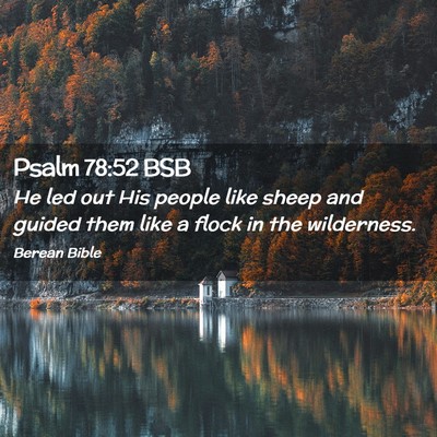 Picture 02 - Psalm 78:52 BSB - He led out His people like sheep and guided them - Bible Verse Picture