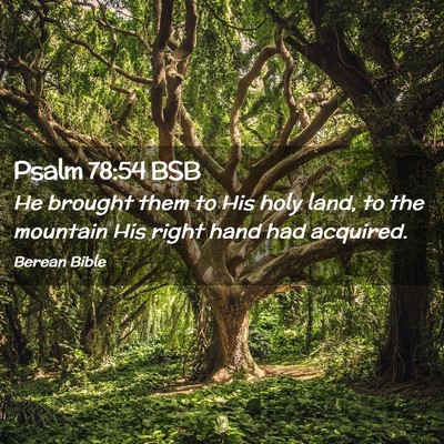 Picture 02 - Psalm 78:54 BSB - He brought them to His holy land, to the mountain - Bible Verse Picture
