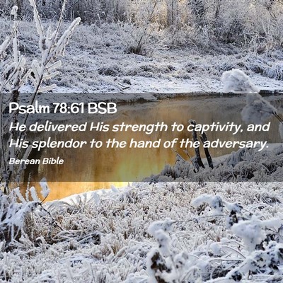 Picture 02 - Psalm 78:61 BSB - He delivered His strength to captivity, and His - Bible Verse Picture