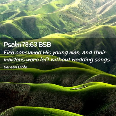 Picture 02 - Psalm 78:63 BSB - Fire consumed His young men, and their maidens - Bible Verse Picture