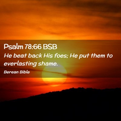 Picture 02 - Psalm 78:66 BSB - He beat back His foes; He put them to everlasting - Bible Verse Picture