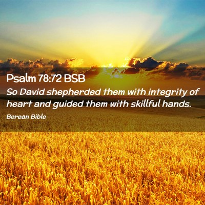 Picture 02 - Psalm 78:72 BSB - So David shepherded them with integrity of heart - Bible Verse Picture