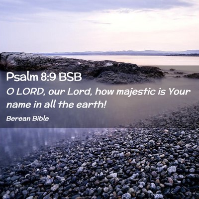 Picture 02 - Psalm 8:9 BSB - O LORD, our Lord, how majestic is Your name in - Bible Verse Picture