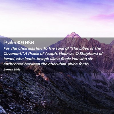 Picture 02 - Psalm 80:1 BSB - For the choirmaster. To the tune of “The Lilies - Bible Verse Picture
