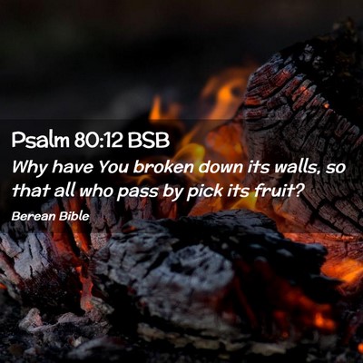 Picture 02 - Psalm 80:12 BSB - Why have You broken down its walls, so that all - Bible Verse Picture