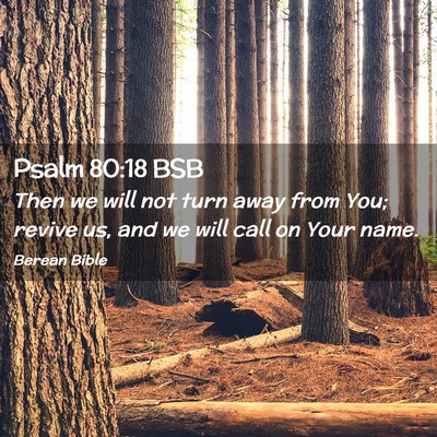 Picture 02 - Psalm 80:18 BSB - Then we will not turn away from You; revive us, - Bible Verse Picture
