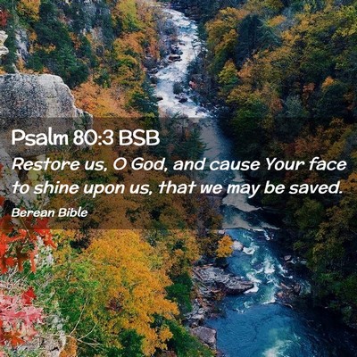 Picture 02 - Psalm 80:3 BSB - Restore us, O God, and cause Your face to shine - Bible Verse Picture
