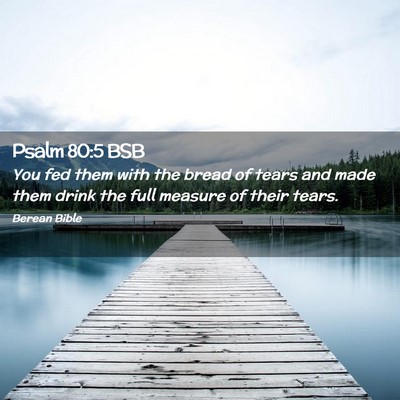 Picture 02 - Psalm 80:5 BSB - You fed them with the bread of tears and made - Bible Verse Picture