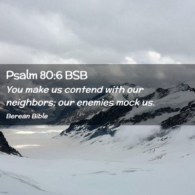 Picture 02 - Psalm 80:6 BSB - You make us contend with our neighbors; our - Bible Verse Picture