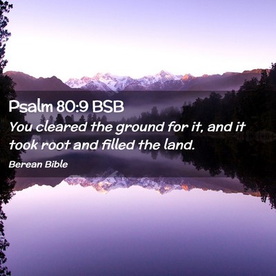 Picture 02 - Psalm 80:9 BSB - You cleared the ground for it, and it took root - Bible Verse Picture