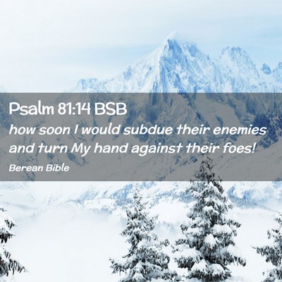 Picture 02 - Psalm 81:14 BSB - how soon I would subdue their enemies and turn My - Bible Verse Picture